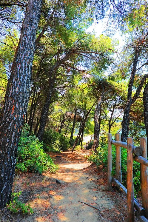 Ariadni Villa Sani Sani (Chalkidiki) Exterior foto