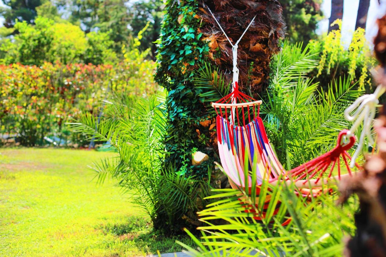 Ariadni Villa Sani Sani (Chalkidiki) Exterior foto